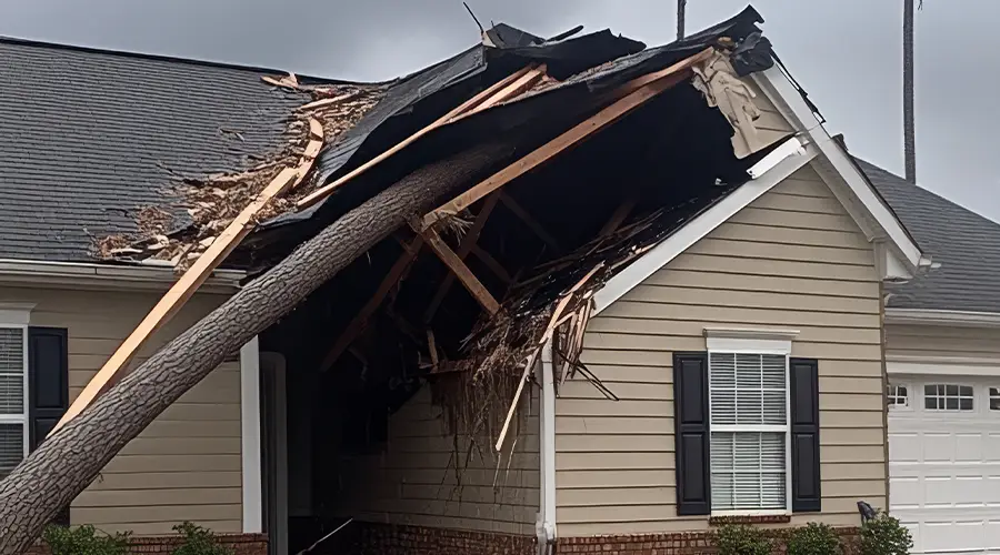 Storm Damage Roof Repair: Steps to Take Right Away