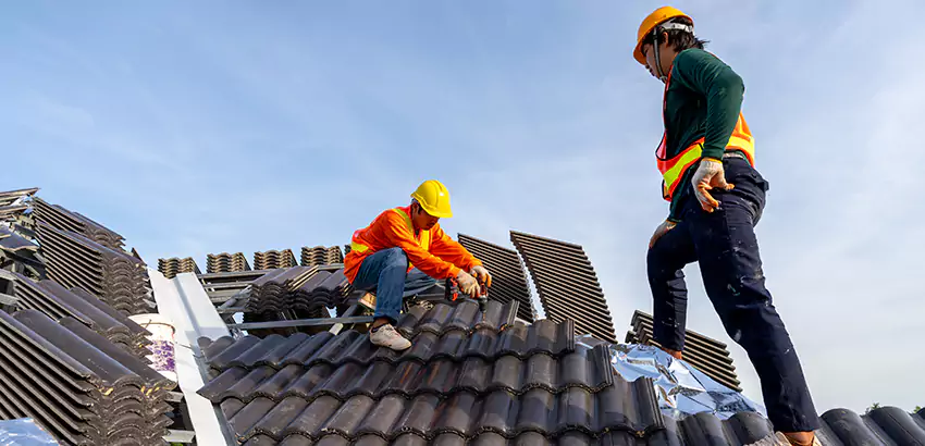 Professional Roofing Services in San Francisco, CA