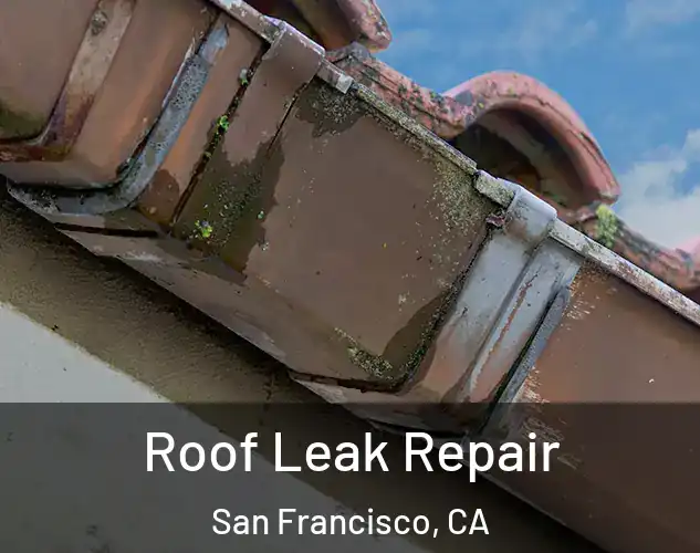  Roof Leak Repair San Francisco, CA